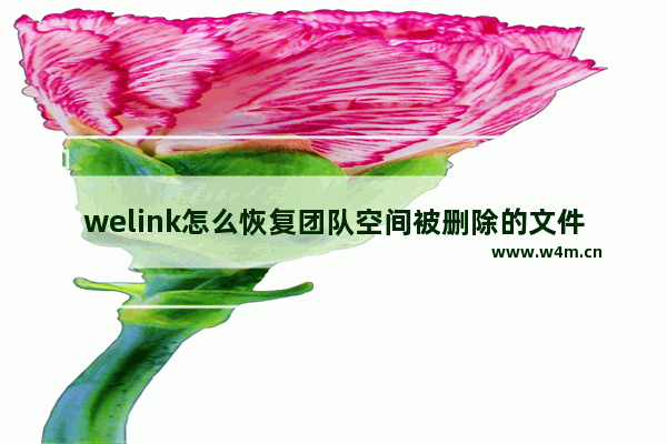 welink怎么恢复团队空间被删除的文件-welink恢复团队空间被删除的文件的方法