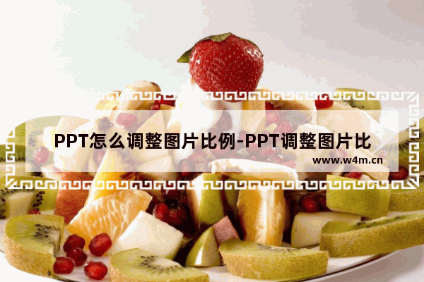 PPT怎么调整图片比例-PPT调整图片比例的方法