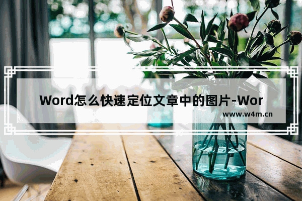 Word怎么快速定位文章中的图片-Word快速定位文章中的图片的方法