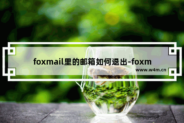 foxmail里的邮箱如何退出-foxmail邮箱账号退出登录的方法