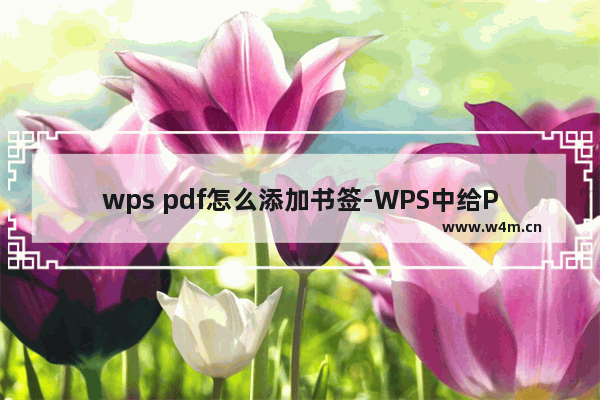 wps pdf怎么添加书签-WPS中给PDF文档添加书签的方法