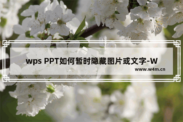 wps PPT如何暂时隐藏图片或文字-WPS PPT设置暂时隐藏图片或文字的方法