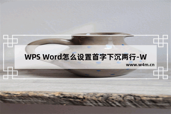 WPS Word怎么设置首字下沉两行-WPS Word设置首字下沉两行的方法