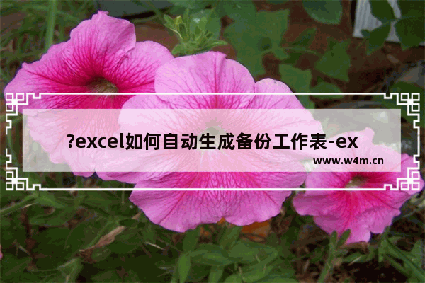 ?excel如何自动生成备份工作表-excel表格自动生成备份文件的方法