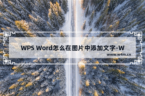 WPS Word怎么在图片中添加文字-WPS Word在图片上添加文字的方法