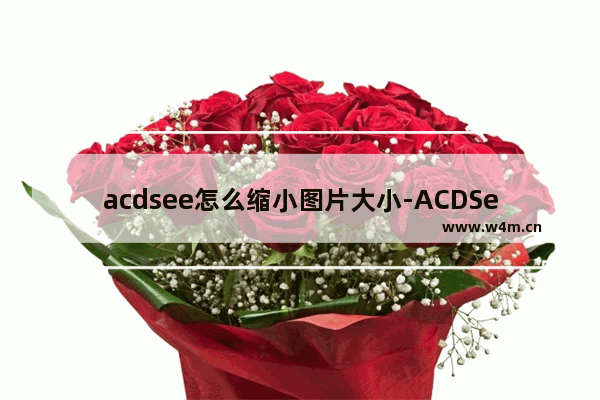 acdsee怎么缩小图片大小-ACDSee修改图片大小的方法