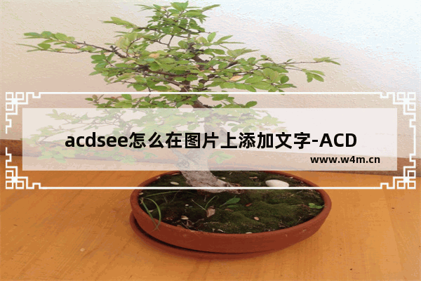 acdsee怎么在图片上添加文字-ACDSee在图片上添加文字的方法