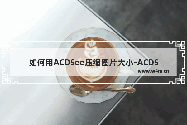 如何用ACDSee压缩图片大小-ACDSee压缩图片大小的方法