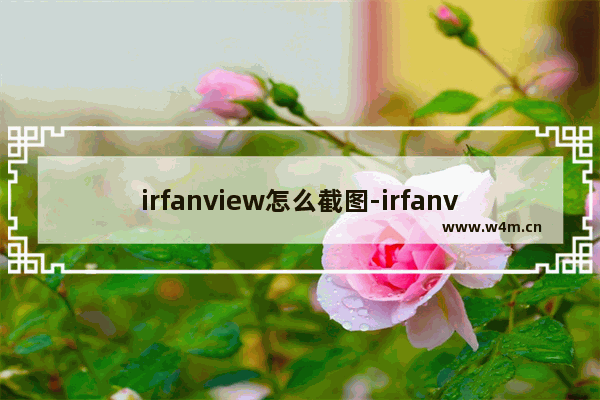 irfanview怎么截图-irfanview全屏截图的方法