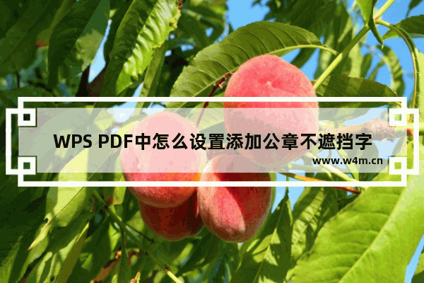 WPS PDF中怎么设置添加公章不遮挡字-wps pdf加盖公章不遮挡字的设置方法