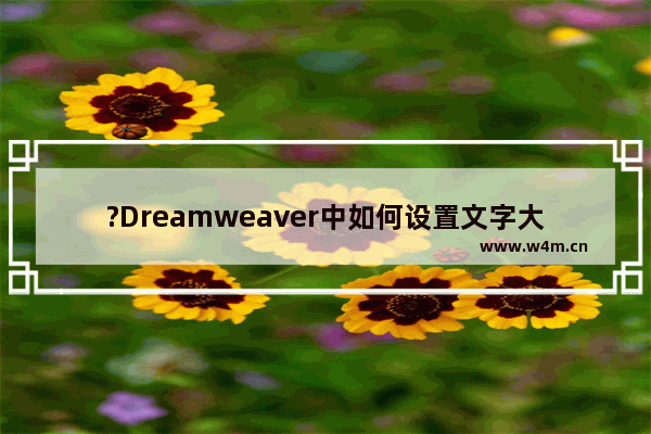 ?Dreamweaver中如何设置文字大小和颜色-Adobe Dreamweaver调整文字大小和颜色的方法教程