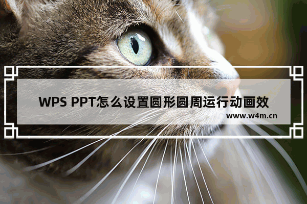 WPS PPT怎么设置圆形圆周运行动画效果-WPS PPT设置圆形圆周运行动画的方法