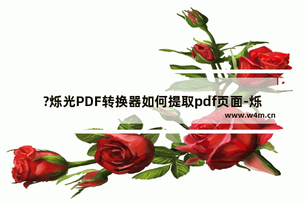 ?烁光PDF转换器如何提取pdf页面-烁光PDF转换器提取pdf页面的方法