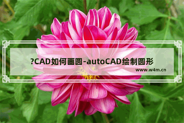 ?CAD如何画圆-autoCAD绘制圆形的方法教程