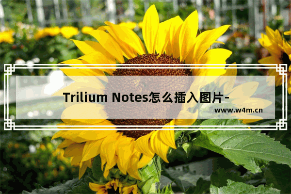 Trilium Notes怎么插入图片-Trilium Notes插入图片的方法