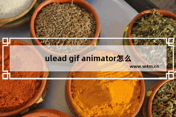 ulead gif animator怎么给gif文件加声音-用Ulead GIF Animator在GIF中添加音乐的方法