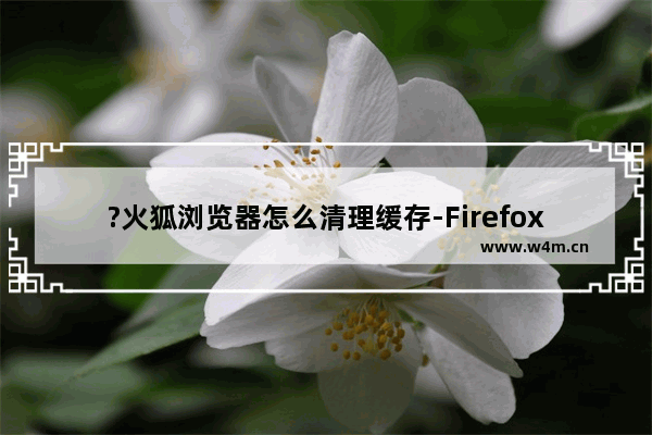 ?火狐浏览器怎么清理缓存-Firefox清理浏览器缓存的方法教程