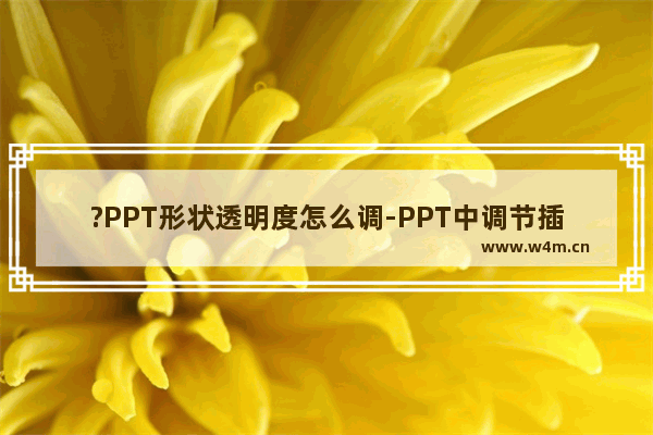 ?PPT形状透明度怎么调-PPT中调节插入形状的透明度的方法教程