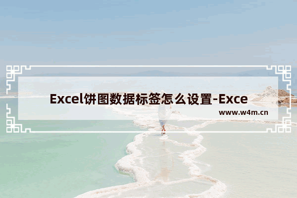 Excel饼图数据标签怎么设置-Excel饼图数据标签的设置方法