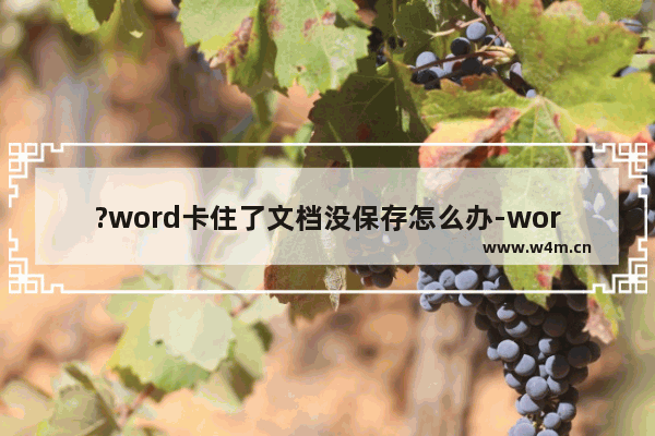 ?word卡住了文档没保存怎么办-word恢复未保存文档的方法