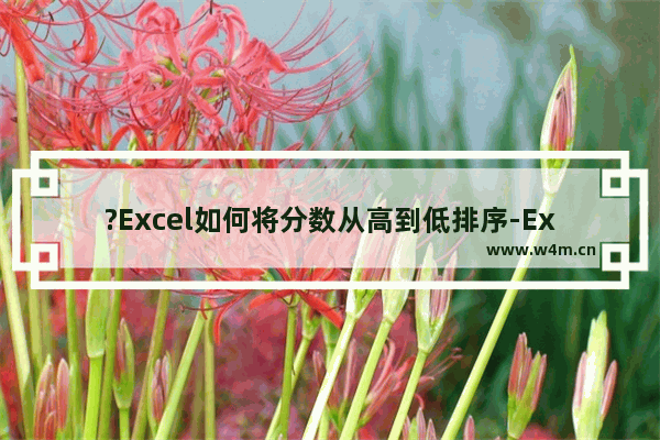 ?Excel如何将分数从高到低排序-Excel表格按照成绩高低排序的方法教程