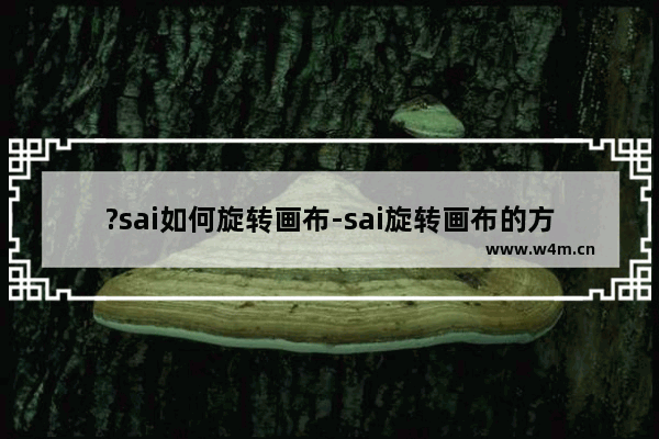 ?sai如何旋转画布-sai旋转画布的方法