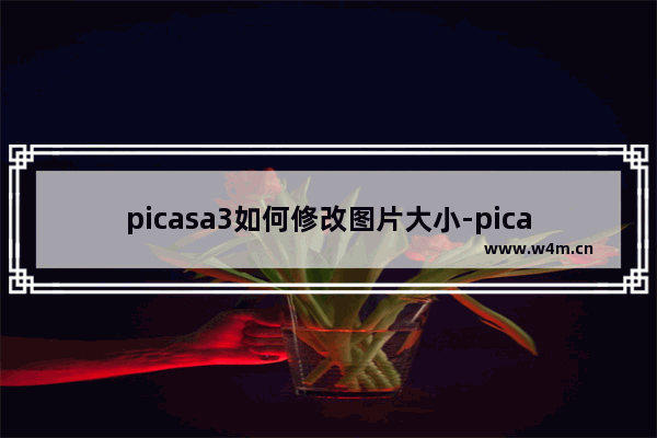 picasa3如何修改图片大小-picasa3调整图片大小的方法