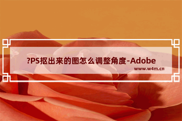 ?PS抠出来的图怎么调整角度-Adobe Photoshop抠图后调整角度的方法教程