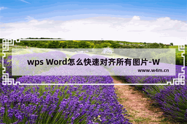 wps Word怎么快速对齐所有图片-WPS Word快速对齐所有图片的方法