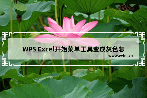 WPS Excel开始菜单工具变成灰色怎么解决-WPS Excel开始菜单工具灰色不能操作解决方法