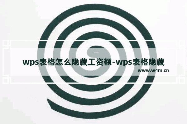 wps表格怎么隐藏工资额-wps表格隐藏工资的方法