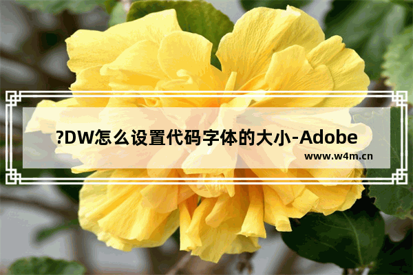 ?DW怎么设置代码字体的大小-Adobe Dreamweaver中设置代码字体大小的方法教程