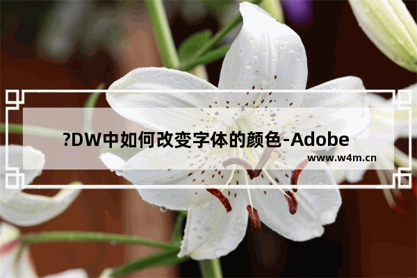 ?DW中如何改变字体的颜色-Adobe Dreamweaver设置文字颜色的方法教程