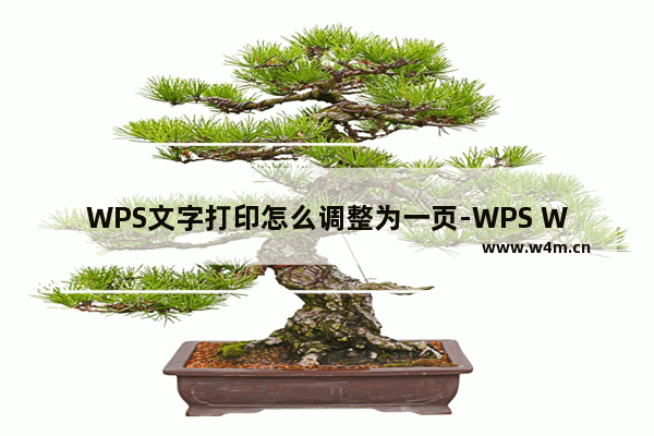 WPS文字打印怎么调整为一页-WPS Word中设置文字打印在一页的方法