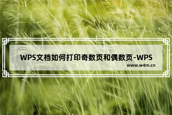 WPS文档如何打印奇数页和偶数页-WPS Word设置打印奇数页和偶数页的方法