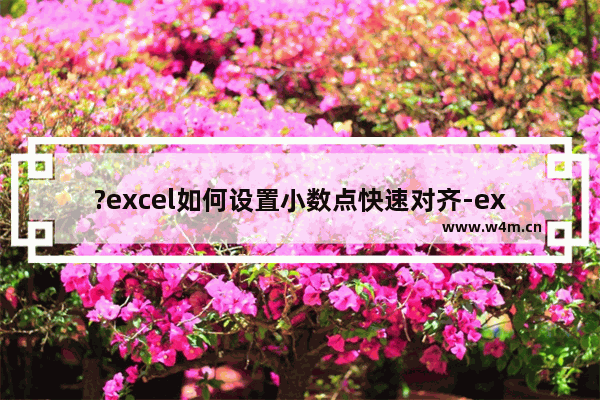 ?excel如何设置小数点快速对齐-excel设置小数点快速对齐的方法