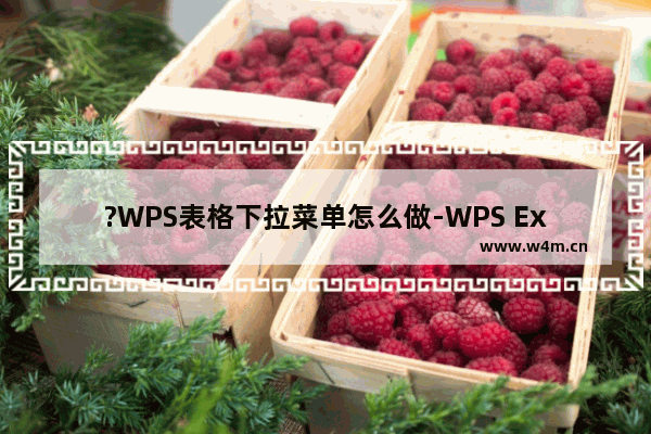 ?WPS表格下拉菜单怎么做-WPS Excel制作下拉菜单的方法教程