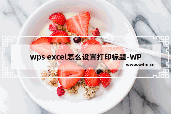 wps excel怎么设置打印标题-WPS Excel中打印标题的设置方法