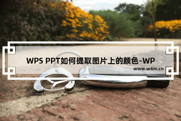 WPS PPT如何提取图片上的颜色-WPS PPT提取图片中颜色的方法