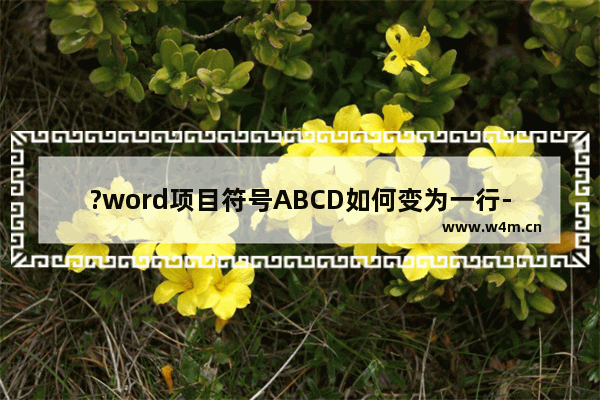 ?word项目符号ABCD如何变为一行-word将项目符号设置成一行的方法