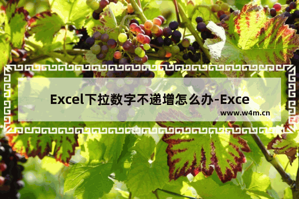 Excel下拉数字不递增怎么办-Excel下拉数字不递增的解决方法