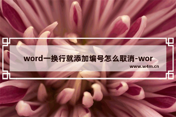 word一换行就添加编号怎么取消-word换行不自动编号的设置方法