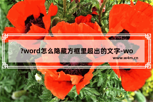 ?word怎么隐藏方框里超出的文字-word文本框中超出的文字隐藏起来的方法