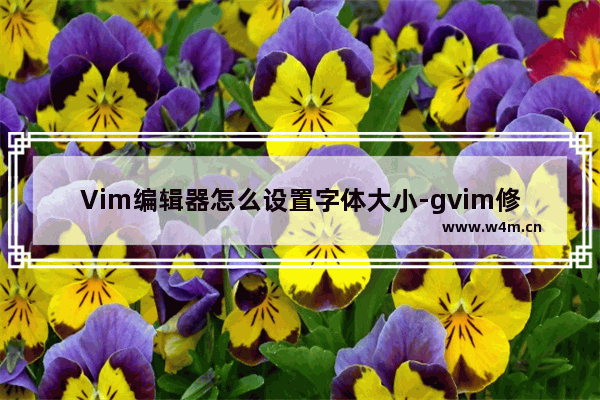 Vim编辑器怎么设置字体大小-gvim修改字体大小的方法