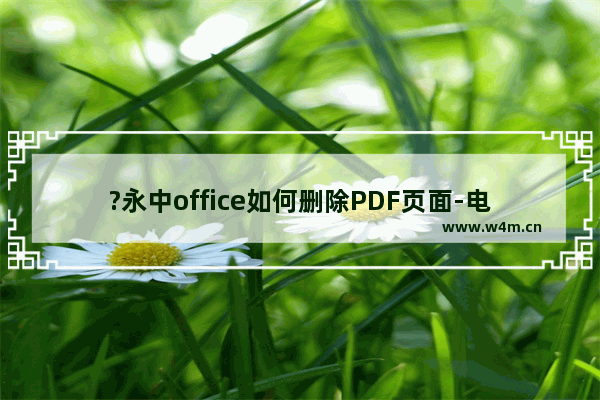 ?永中office如何删除PDF页面-电脑版永中office进行PDF删除页面的方法