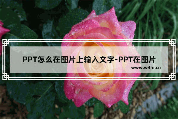 PPT怎么在图片上输入文字-PPT在图片上输入文字的方法