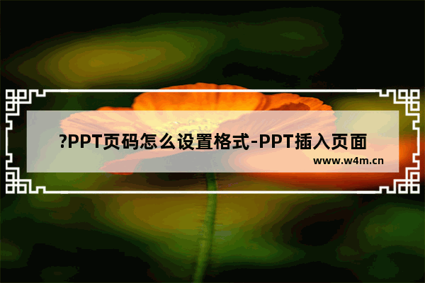 ?PPT页码怎么设置格式-PPT插入页面后统一设置格式的方法教程