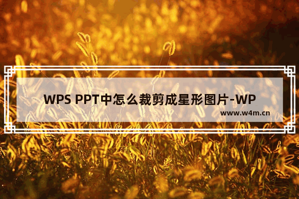 WPS PPT中怎么裁剪成星形图片-WPS PPT中裁剪成星形图片的方法