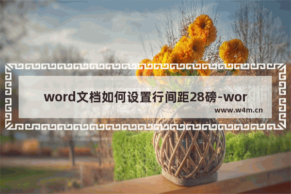 word文档如何设置行间距28磅-word文档调整段落行距的方法