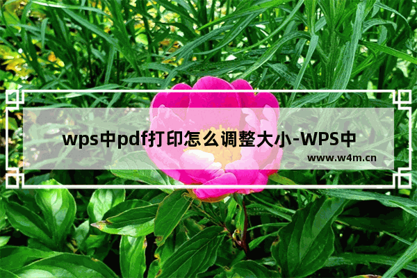 wps中pdf打印怎么调整大小-WPS中将PDF文件放大打印的方法